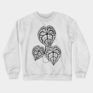 Color In Anthurium clarinervium Crewneck Sweatshirt